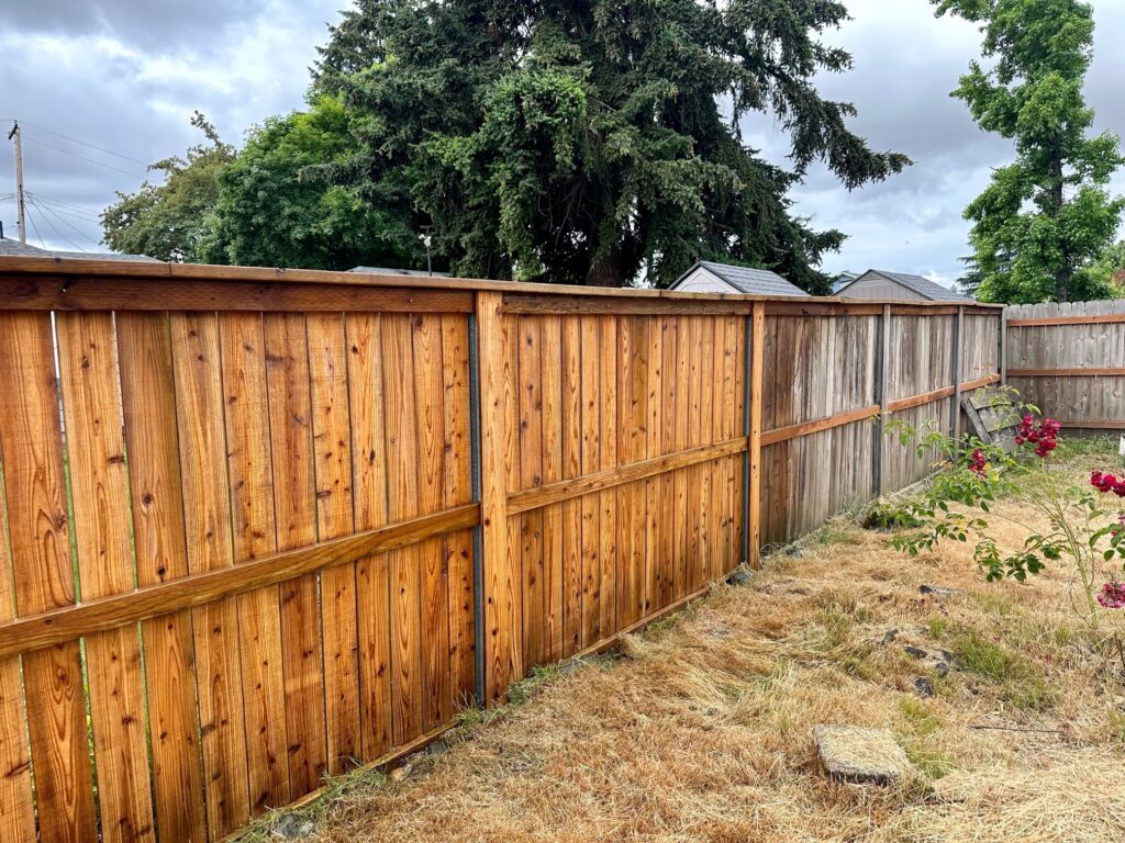 Fencing Pressure Washing